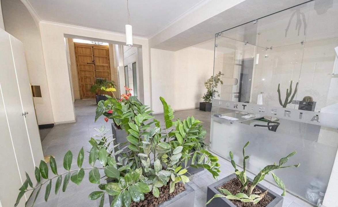 Gran Cancelliere Apartment With Parking Παλέρμο Εξωτερικό φωτογραφία